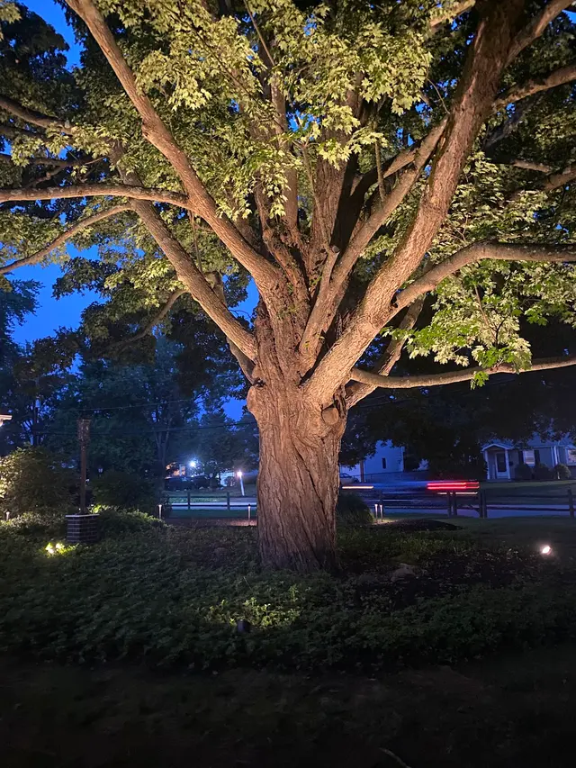 Irrigation Systems of NJ — photo from the business 12