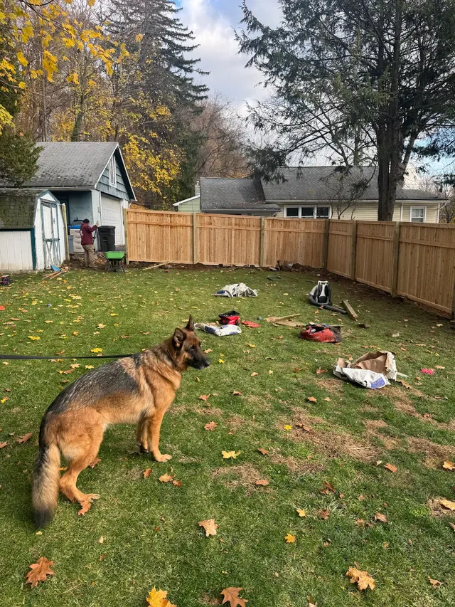 Ken Steenstra Landscaping, Inc. — customer photo 9