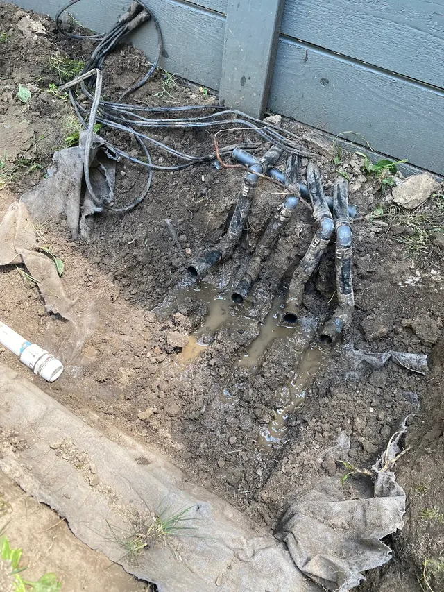 The Sprinkler Kings Irrigation & Lighting — photo from the business 11