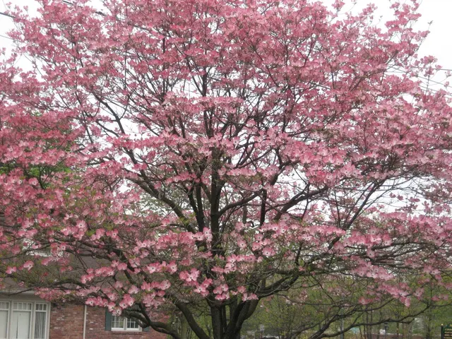 Chris James Landscaping — photo from the business 9
