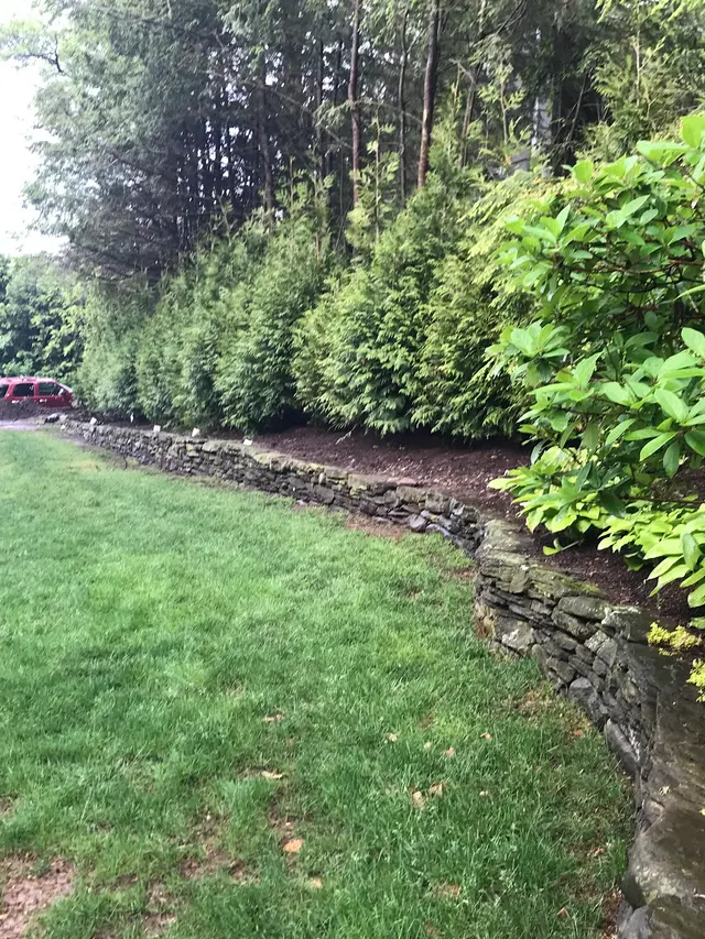 Chris James Landscaping — photo from the business 3