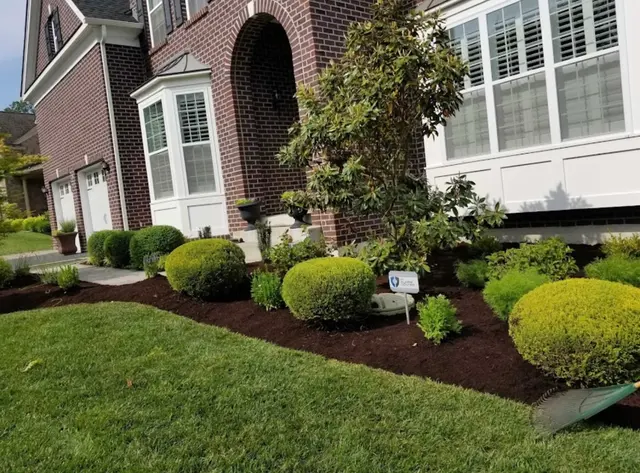 Blue Pine Snow and Landscaping — photo from the business 2