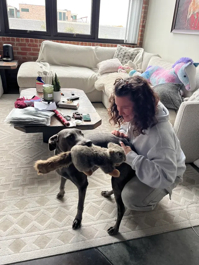 Dog Walker Inc — customer photo 4
