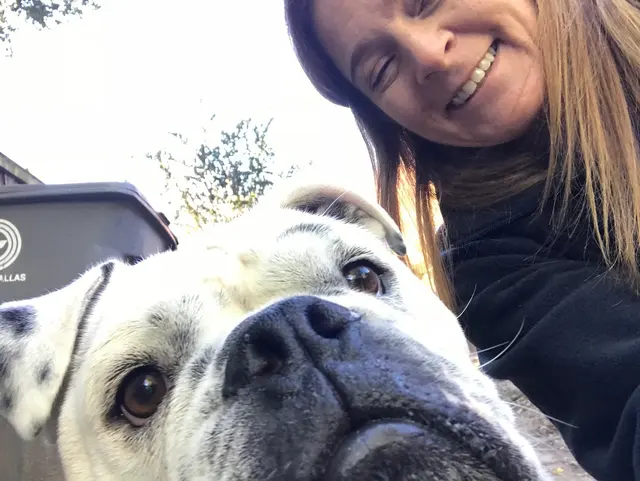 Dog Walker Inc — photo from the business 11