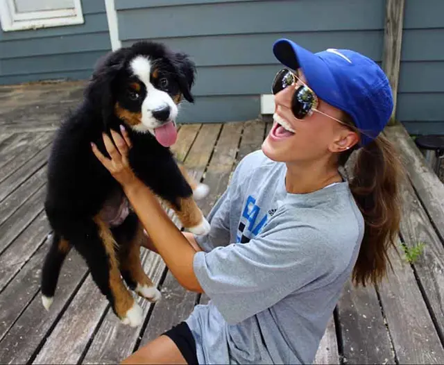 Dog Walker Inc — photo from the business 8