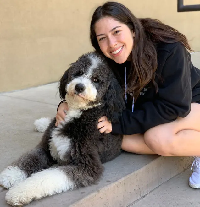Dog Walker Inc — photo from the business 12