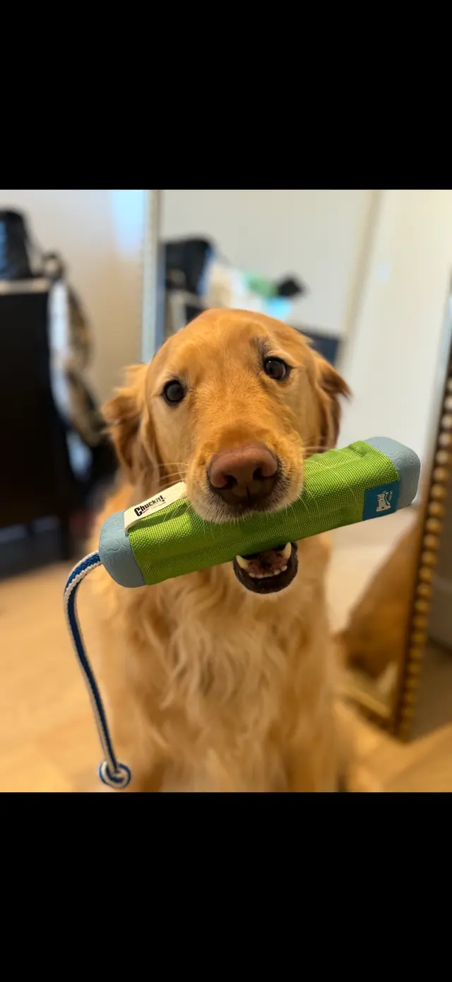 Customer photo from Mercedes's review