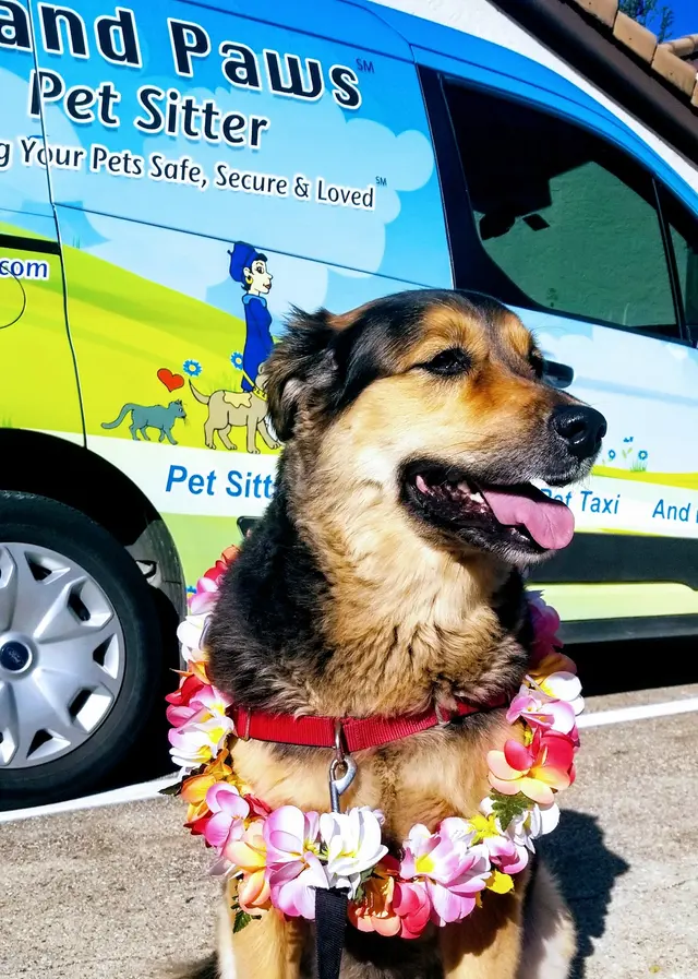 Grand Paws Pet Sitter — photo from the business 4