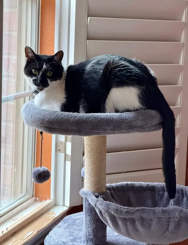 Personal Pet & Home Care — photo from the business 5