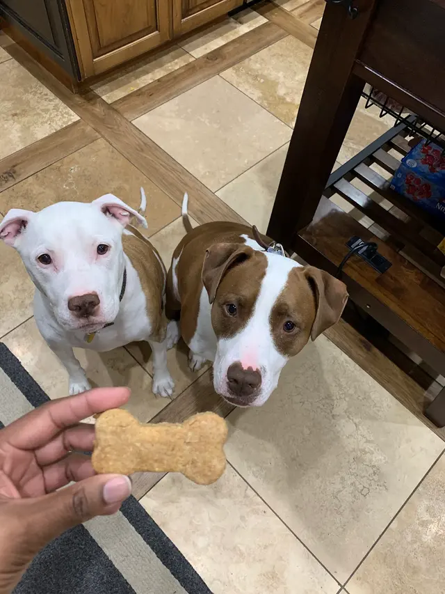 Customer photo from camille's review
