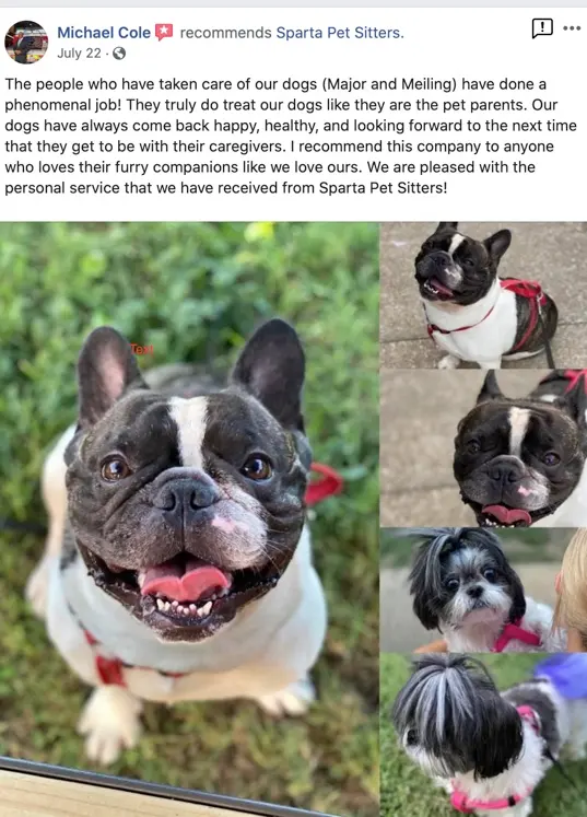 Sugar's Pet Sitting — photo from the business 11