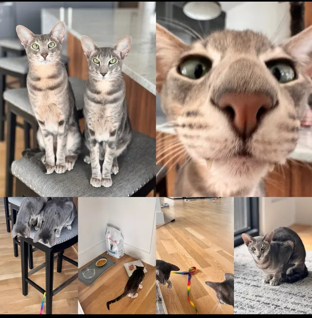 Customer photo from Gwen's review