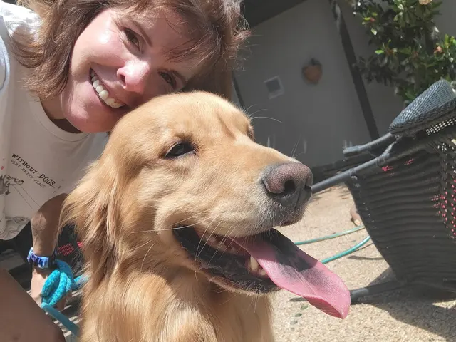 Pampered Pups Dog Sitting — photo from the business 5