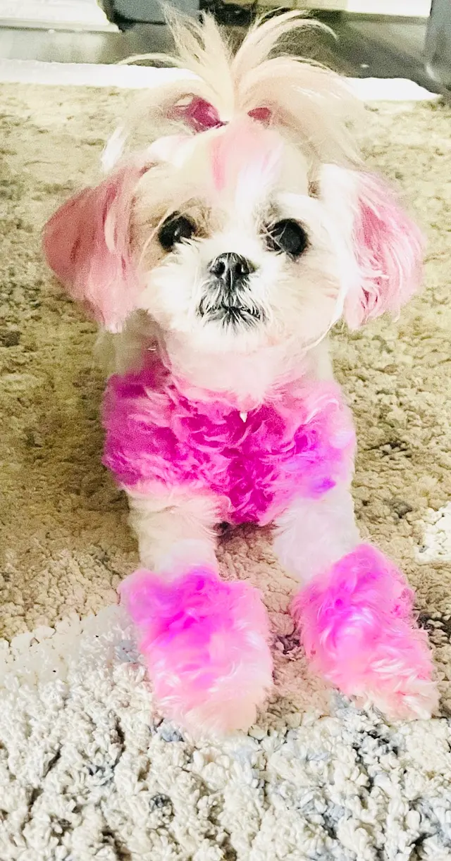 Customer photo from Rachel's review