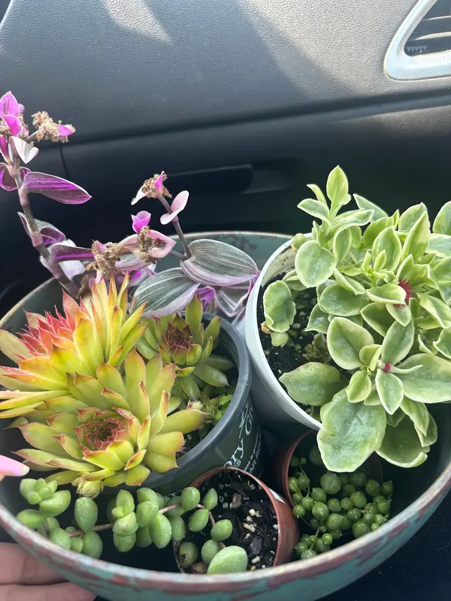 Mosaic and Company — customer photo 5