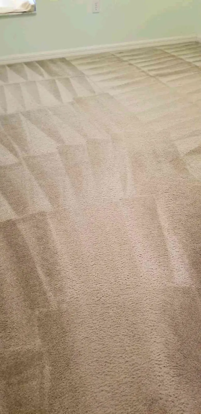 Customer photo from L's review