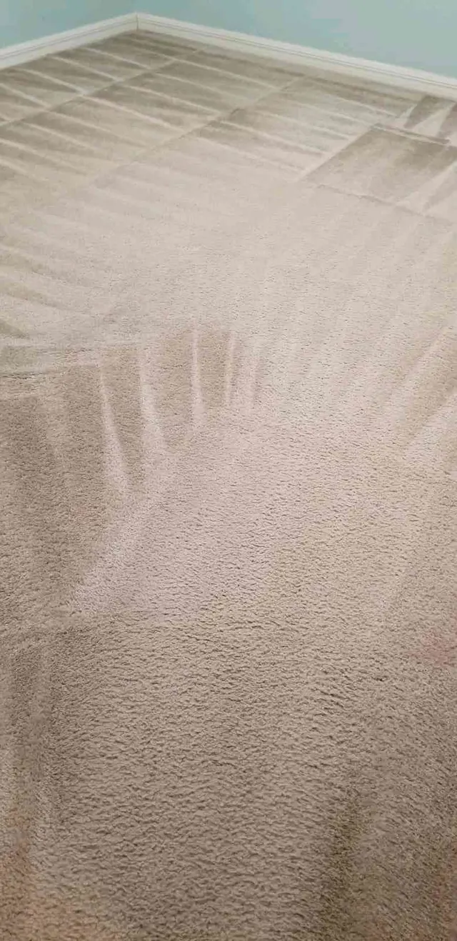 Customer photo from L's review