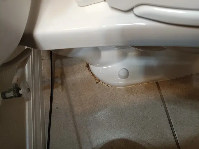 MaidPro of Polk County — customer photo 6