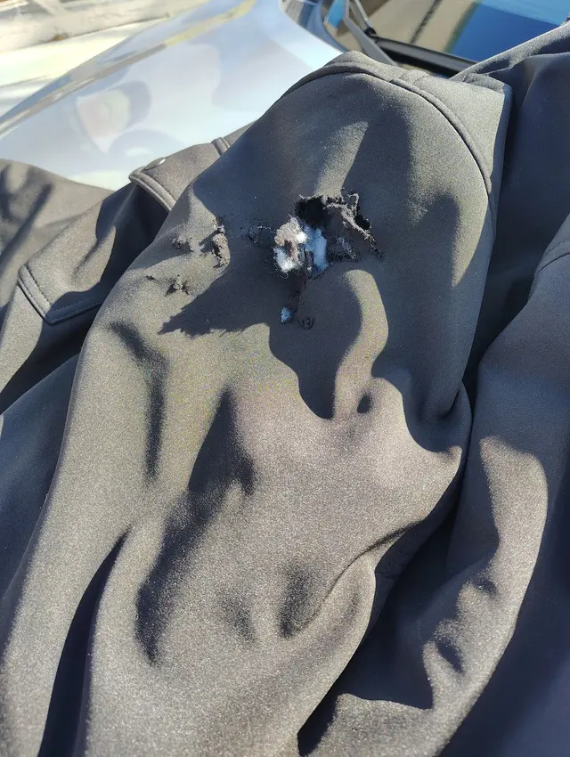 Customer photo from Terri's review