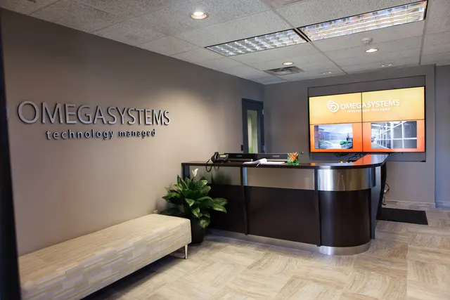Omega Systems — photo from the business 7