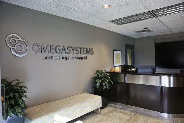 Omega Systems — photo from the business 6