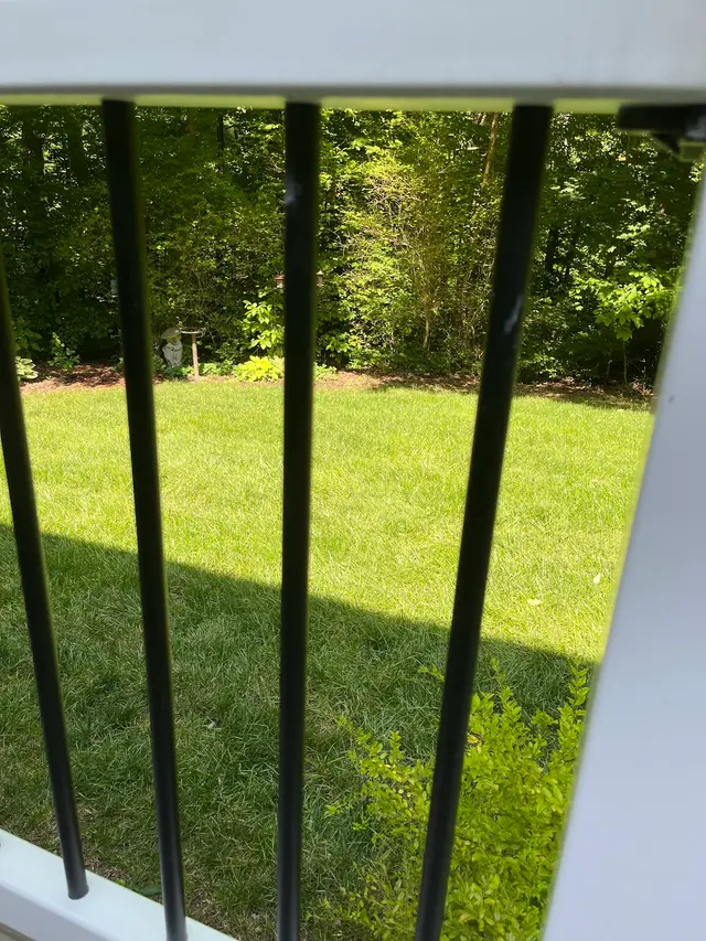 Green Roots Landscaping — customer photo 9