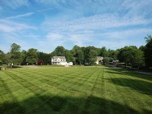 Green Roots Landscaping — photo from the business 1