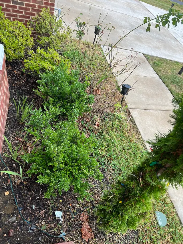 Customer photo from Dee's review