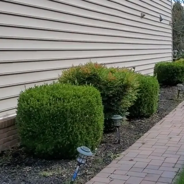 Keeping It Green Landscaping, LLC — photo from the business 7