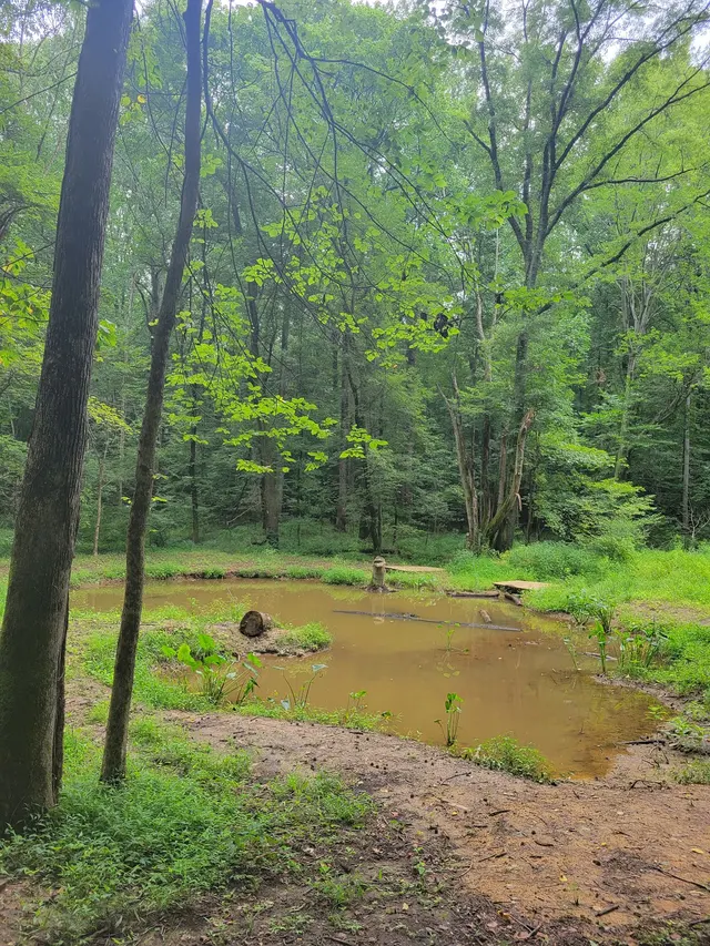 Forested, LLC — customer photo 4