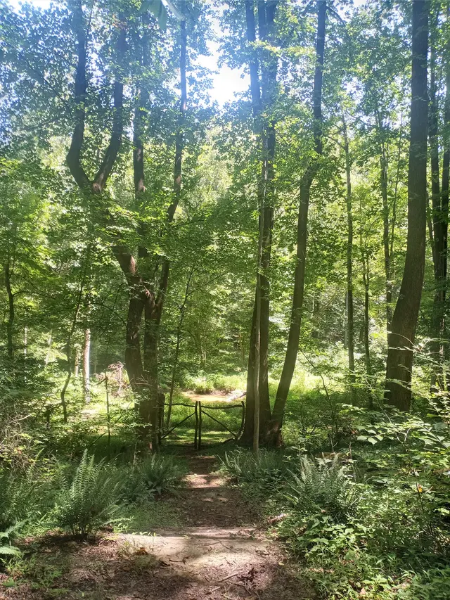Forested, LLC — customer photo 8