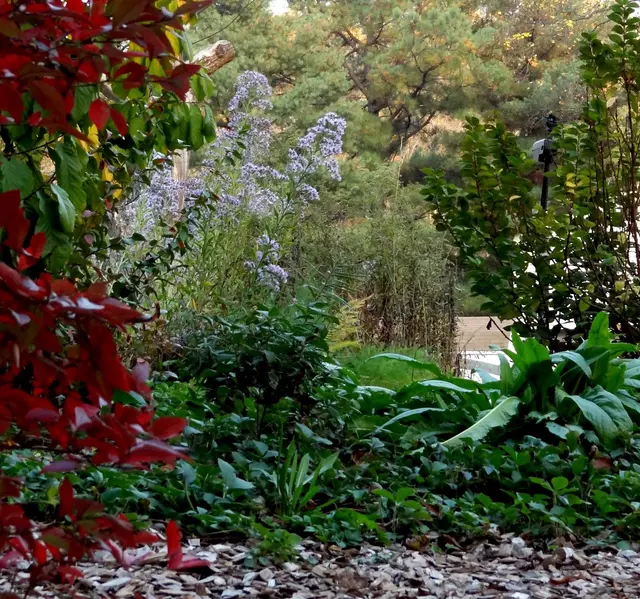 Forested, LLC — photo from the business 6