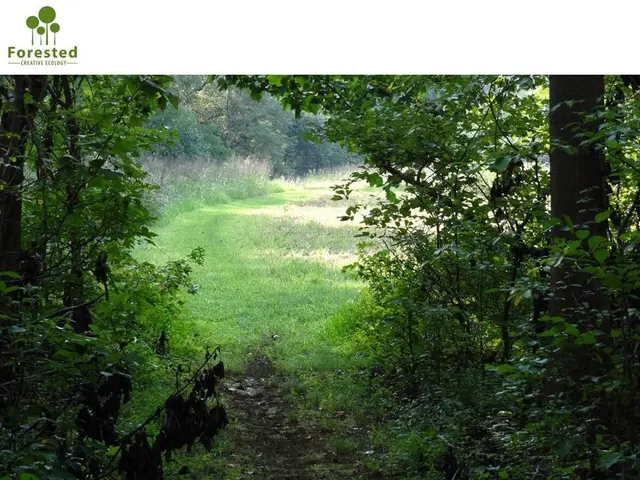 Forested, LLC — photo from the business 10