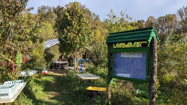 Forested, LLC — customer photo 5