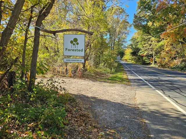 Forested, LLC — photo from the business 11