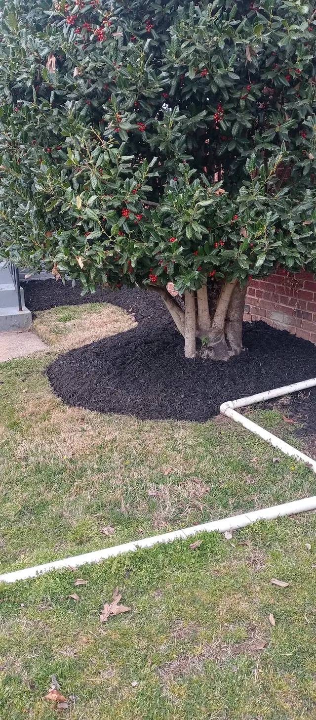 Suburban Lawn Care Service LLC — customer photo 2