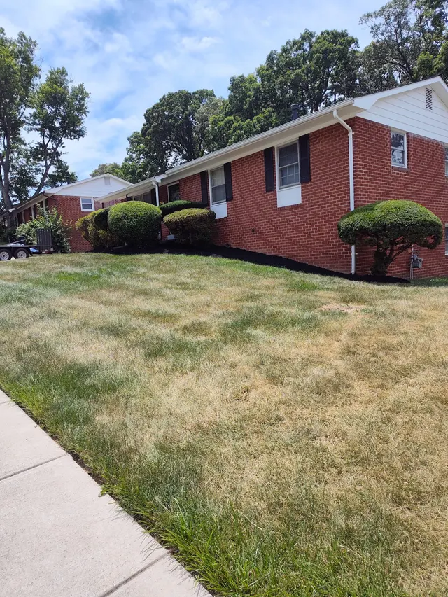Suburban Lawn Care Service LLC — customer photo 4