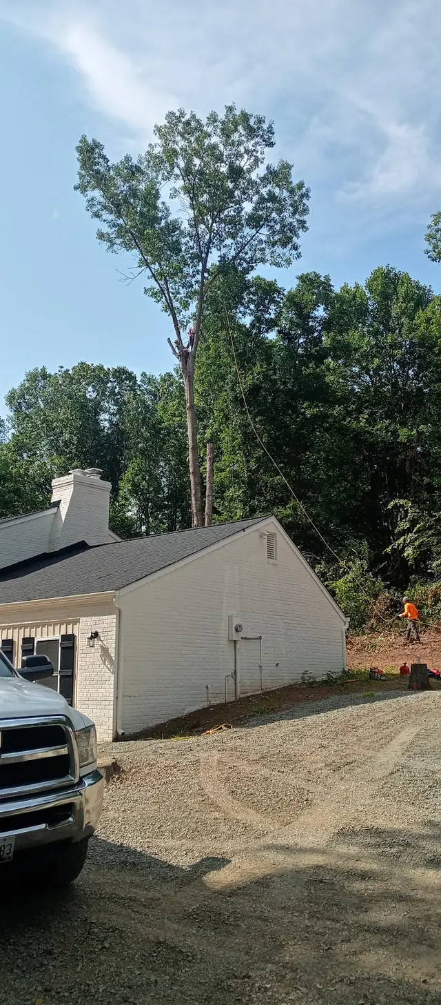 Suburban Lawn Care Service LLC — customer photo 3