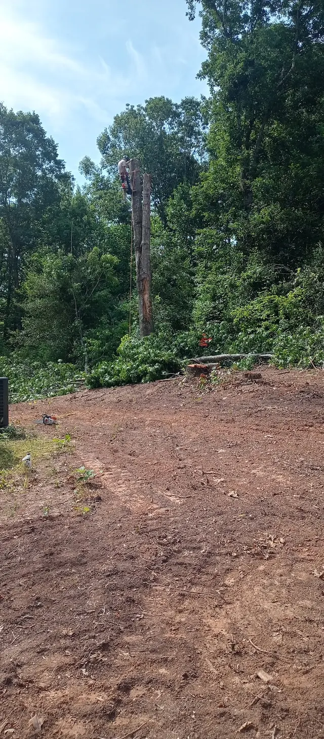 Suburban Lawn Care Service LLC — customer photo 5