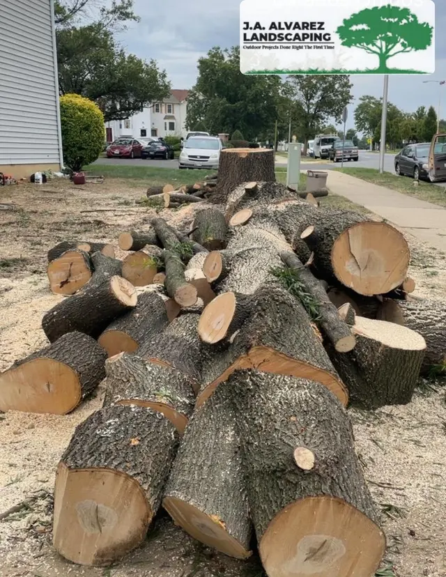 JA Alvarez Landscaping — photo from the business 12