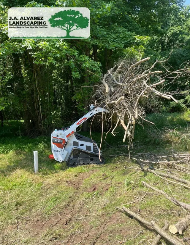 JA Alvarez Landscaping — photo from the business 9