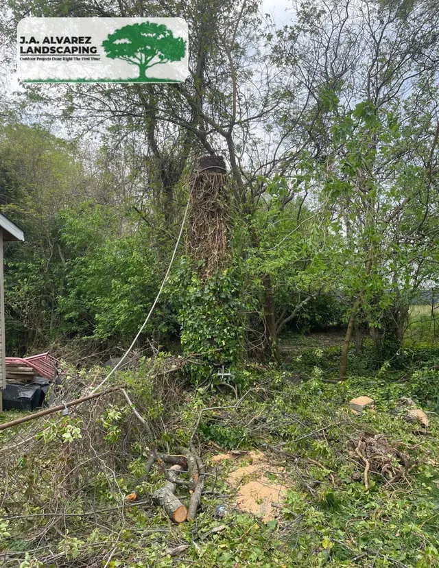 JA Alvarez Landscaping — photo from the business 10