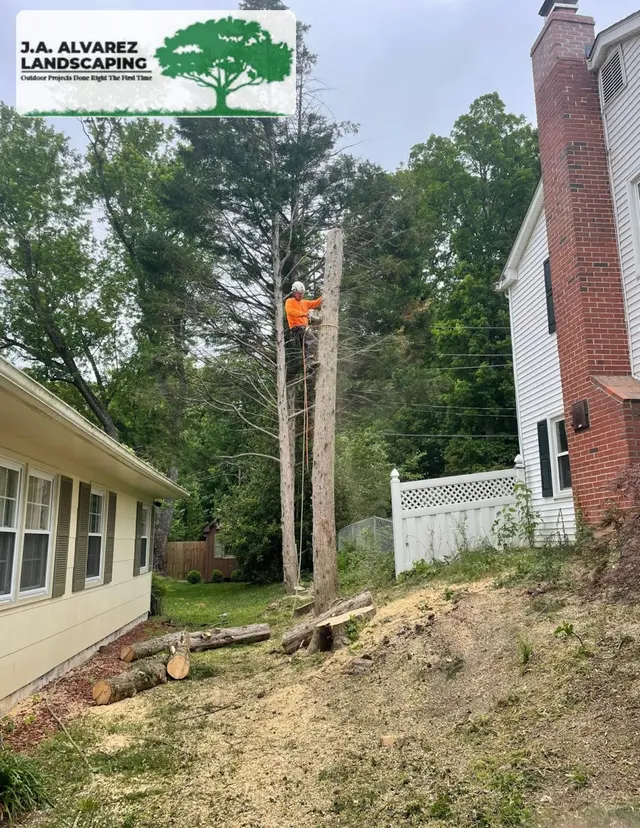 JA Alvarez Landscaping — photo from the business 7