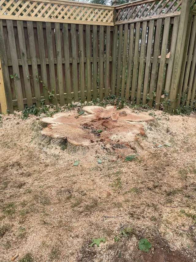 JA Alvarez Landscaping — photo from the business 6