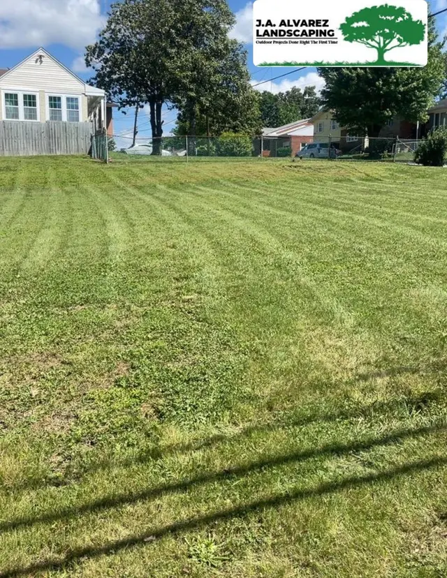 JA Alvarez Landscaping — photo from the business 4