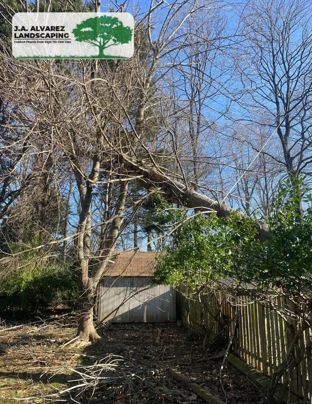 JA Alvarez Landscaping — photo from the business 5