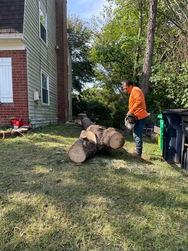 JA Alvarez Landscaping — photo from the business 3
