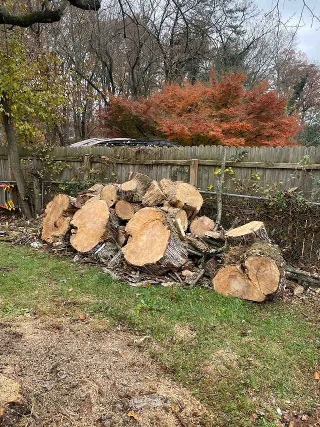 JA Alvarez Landscaping — photo from the business 2