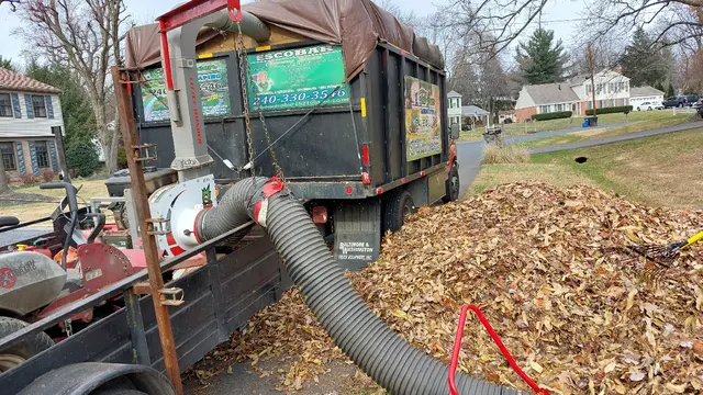 FG Landscaping llc — photo from the business 1