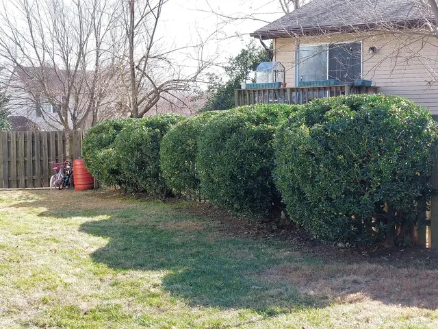 FG Landscaping llc — photo from the business 9